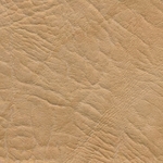 Бежевый (Боди)