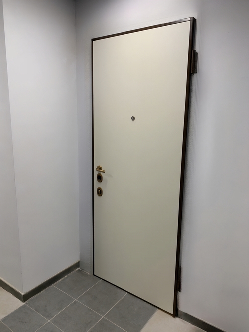 Дверь с гладкими панелями