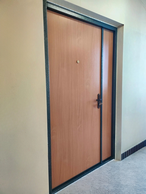 Дверь для тамбура (порошок и ламинат)