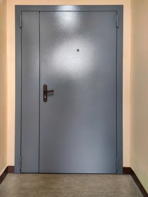 Порошковая тамбурная дверь