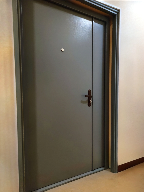 Порошковая тамбурная дверь