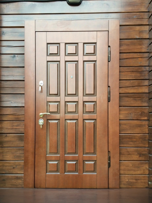 Дверь с панелью шпон