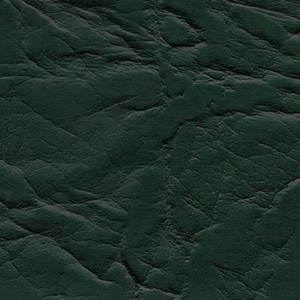 Зеленый (Венеция)