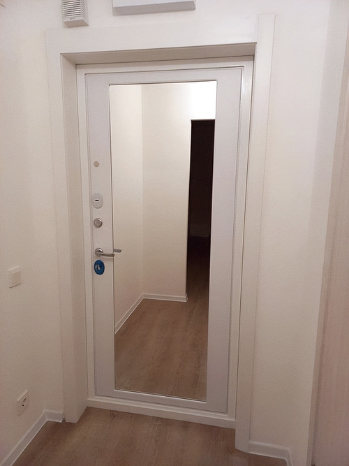 Дверь с зеркалом внутри