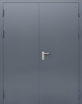 Двустворчатая противопожарная дверь с покраской серого цвета