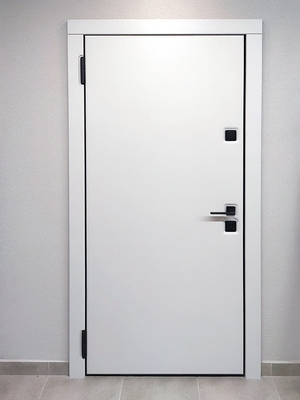 Белая дверь с черной фурнитурой