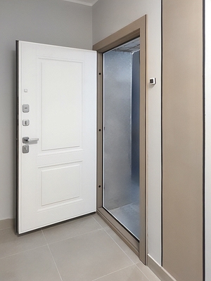 Квартирная дверь с МДФ RAL