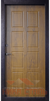 Металлическая дверь в дом с терморазрывом Металлическая дверь в дом с терморазрывом